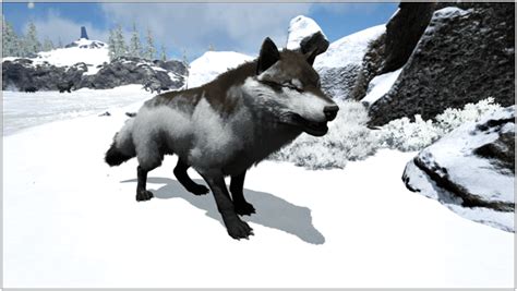 ark survival wolf|ark direwolf taming guide.